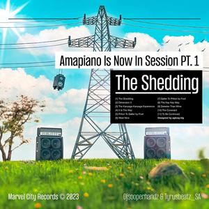 Amapiano Is Now In Session Pt. 1: THE SHEDDING