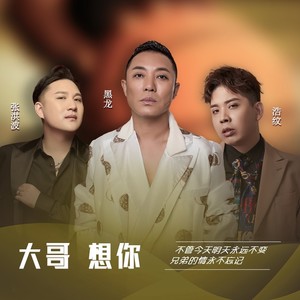 黑龙 - 大哥想你 (DJ大禹版伴奏)