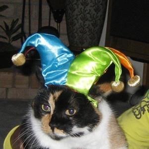 sorry mom I'm trying