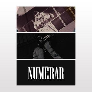 NUMERAR (feat. nimeni) [Explicit]
