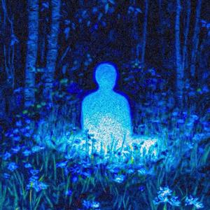 L'ALBERO NELLA FORESTA (Interlude) (Explicit)