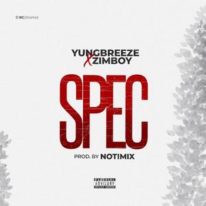 Spec (feat. Zimboy) [Explicit]