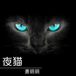 夜猫