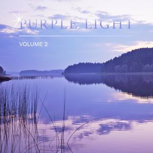 Purple Light, Vol. 2