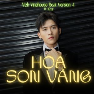 Hoa Son Vàng (Vizh Vinahouse Beat Version 4)