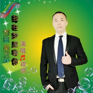 我在梦里等你