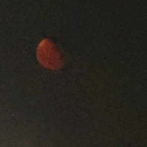 Lying (feat. Hazinsava & Eye Q|Explicit)