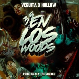 3.5 en los woods (feat. Hollowprrr)