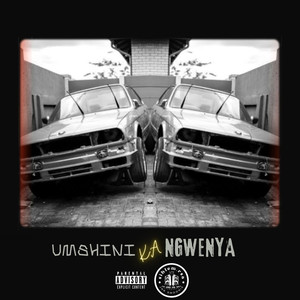Umshini Ka Ngwenya