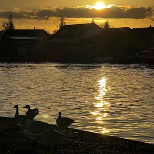 Open or closed (feat. Benni Ray)