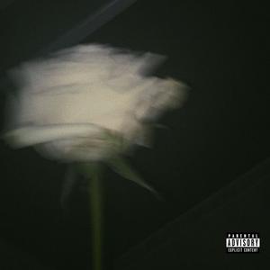 STORY! (Explicit)