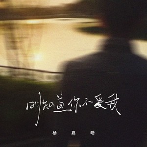 杨嘉皓 - 明知道你不爱我 (伴奏)