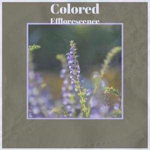 Colored Efflorescence