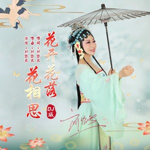 花开花落花相思 (DJ沈念版)封面
