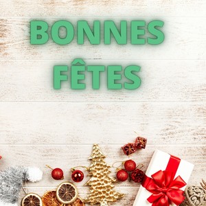 Bonnes Fêtes