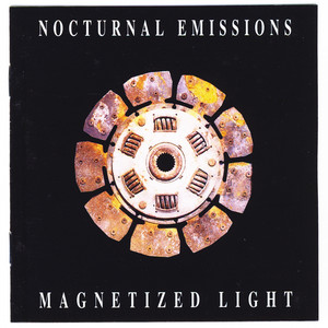 Magnetized Light