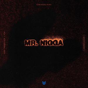 Mr. Nigga (Explicit)