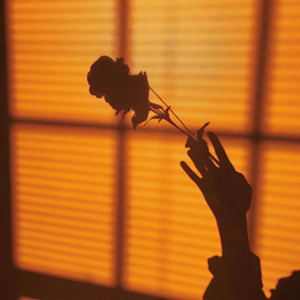 不只在风里 (Prod.by YW夏国文)