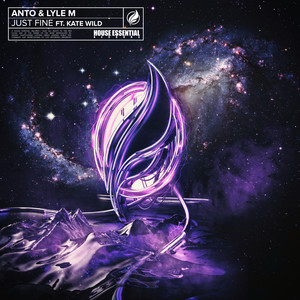 Just Fine (Original Mix)