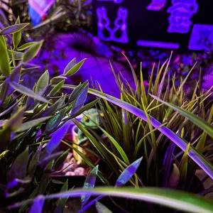 Make It (feat. Migrant Fleet)