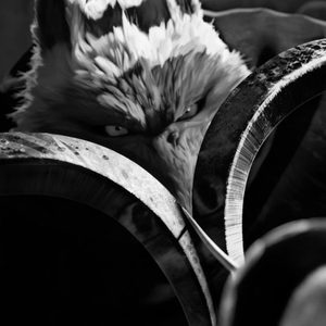 Cake 9core (Outro|Explicit)