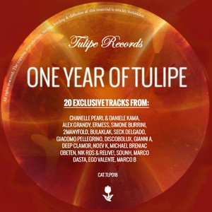 One Year Of Tulipe