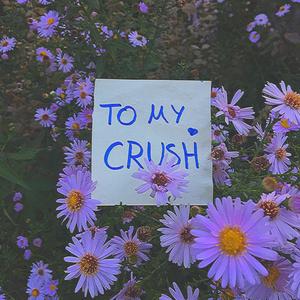 To My Crush (So Could You Hold Me Tight)