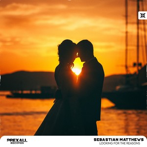 Looking for the Reasons