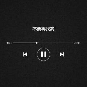 不要再找我 (翻自 夏子皓)