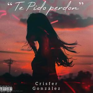 Te pido perdon