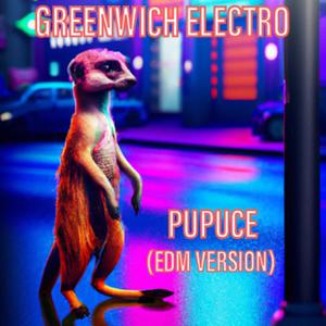 Pupuce - EDM (feat. Hayley N, Andcelang, Claire R, Kaius & Snaptoon)