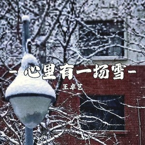 心里有一场雪