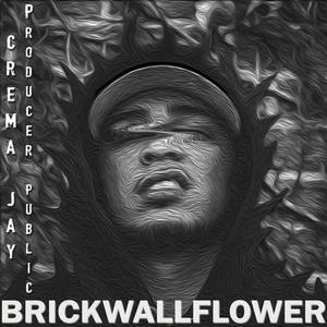 Brickwallflower