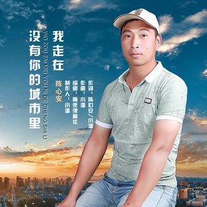 我走在没有你的城市里