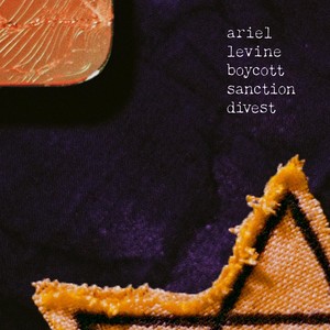 BOYCOTT SANCTION DIVEST