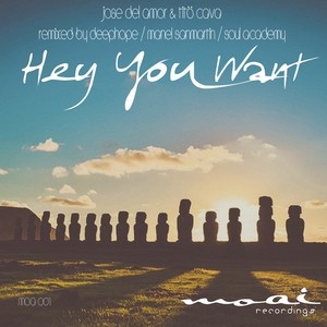 Hey You Want (Soul Academy Remix)