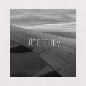 Fly (Stripped)