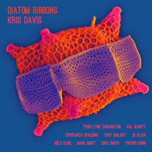 The Very Thing (feat. Esperanza Spalding, Tony Malaby, Trevor Dunn, Val Jeanty & Terri Lyne Carrington) (feat. Esperanza Spalding, Tony Malaby, Trevor Dunn, Val Jeanty & Terri Lyne Carrington)