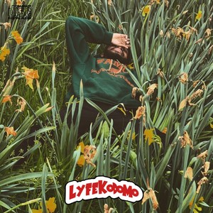 Luv Sik (Radio|Explicit)