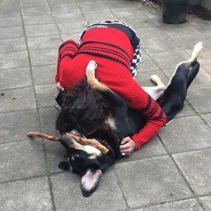 le sport life (80 pompes) (Explicit)