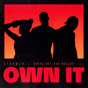 Own It (feat. Burna Boy & Sho Madjozi) [Remix]