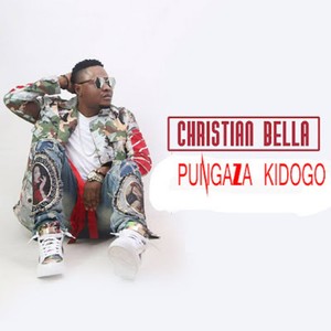 Punguza Kidogo