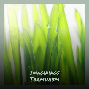 Imaginings Terminism