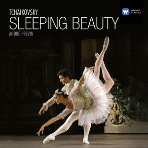 The Sleeping Beauty, Op. 66, Act II "The Vision", Scene 1 - No. 17, Panorama