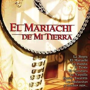 Tributo al Mariachi Vargas de Tecalitlán