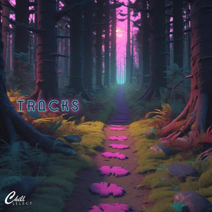 Tracks