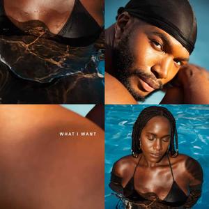 What I want (Acapella Version)