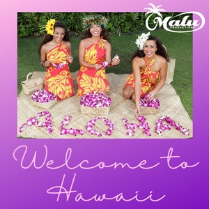 Welcome to Hawaii