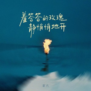 羞答答的玫瑰静悄悄地开（慢慢地绽放它留给我的情怀）