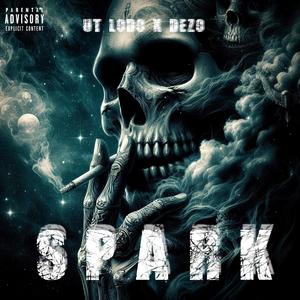 spark (Explicit)